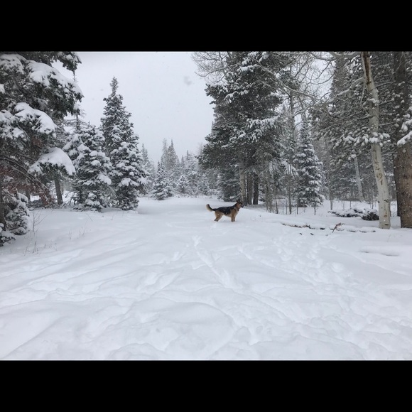 Meet your Posher, Meghan - Picture 2 of 2